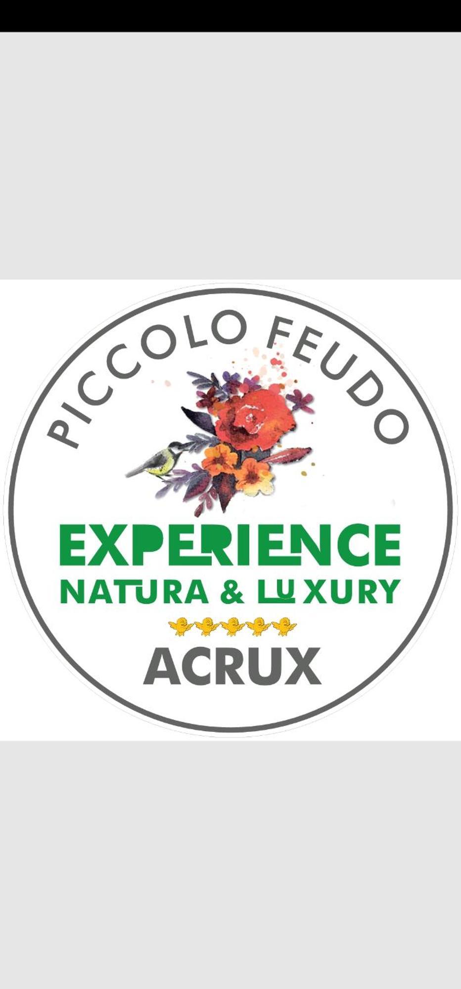 Piccolo Feudo Green Resort (Adults Only) Витербо Номер фото