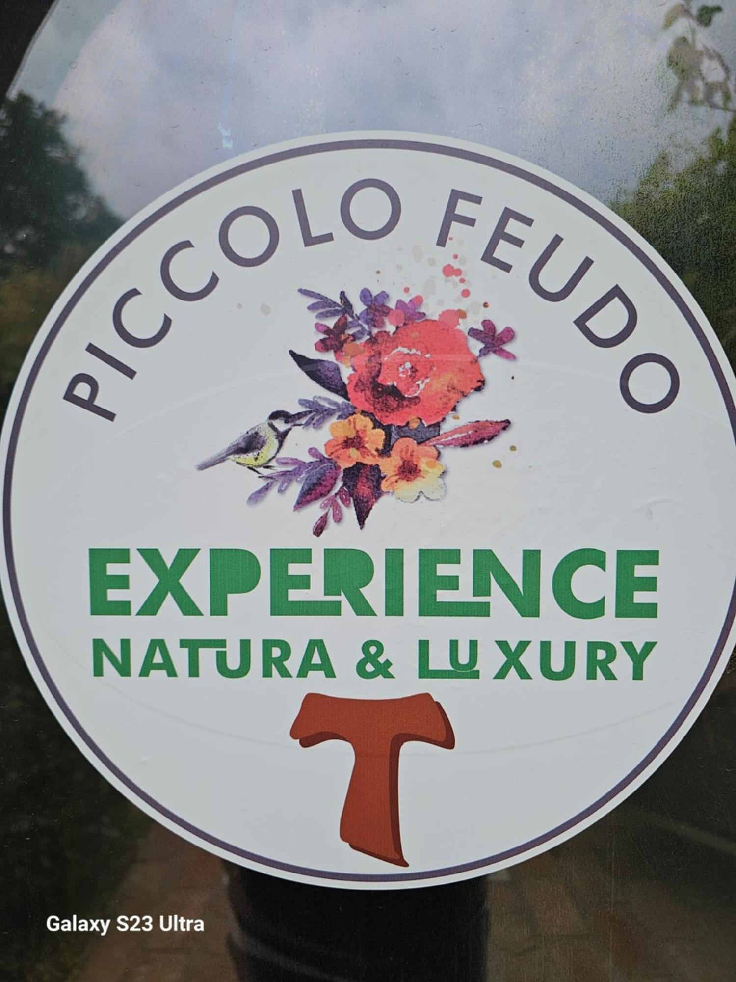 Piccolo Feudo Green Resort (Adults Only) Витербо Номер фото